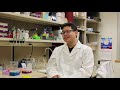 Research behind the scenes at the faculty of pharmacy and pharmaceutical sciences