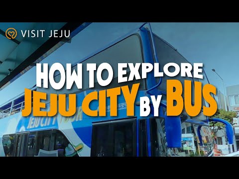 How to Explore Jeju City, South Korea, by Bus