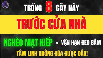 Chớ Dại Trồng 8 Loại Cây Này – Kẻo Vận Khí Sa Sút, Tiền Tài Khó Về Học Từ Cổ Nhân