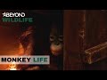 The Orangutan That's Never Walked On Grass Before | Monkey Life | S2E03 | Beyond Wildlife