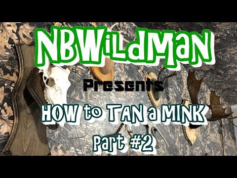TRAPPERS Tan Your Hide DIY Home Tanning Complete Process Part 2