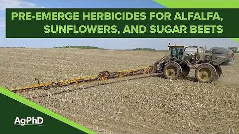 Pre-Emerge Herbicides in Alfalfa | Sunflowers | Sugar Beets (From Ag Phd #1090 - Air Date 2-24-19)