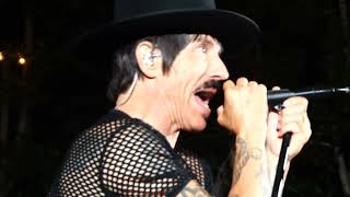 Red Hot Chili Peppers ~ Havana Affair ~ Silverake Conservatory of Music ~