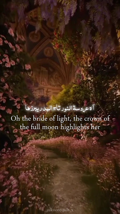 Wedding Nasheed 🫶🏻🤍🫀✨|| Beautiful Arabic Nasheed With Lyrics & Translation|| Muhammad Al Muqit || P1