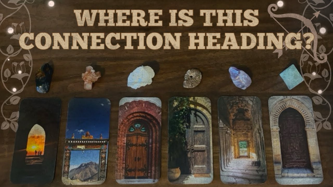 The Future of Your Connection 🏹💕 | Tarot • Pick a Card Reading 👼