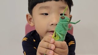 Ethan's bugs toy play. 이든의 벌레 장난감 놀이. screenshot 4