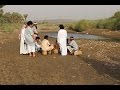 وثائقي إيقاع الحياة فن الدلع