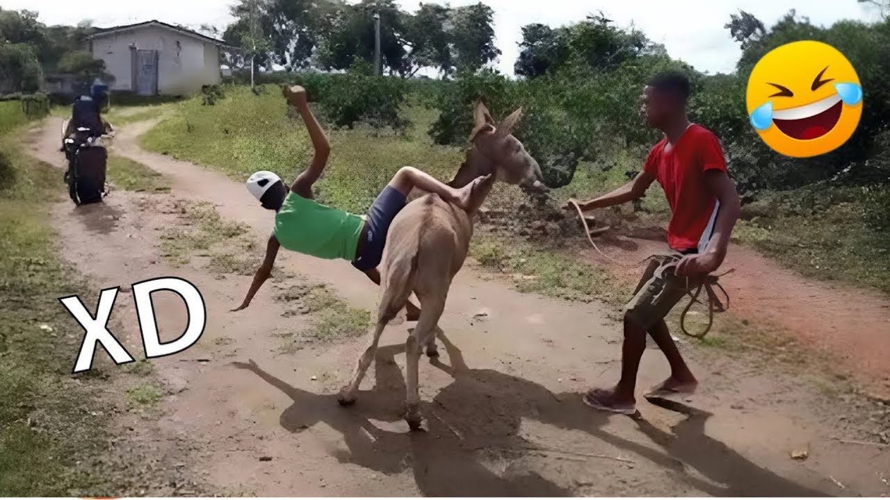 Intenta No Reírte 😂 Fails y Momentos Divertidos [Muy Difícil] 😂 2025 #9