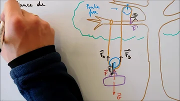 Qu'est-ce qu'un palan simple ?