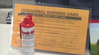 Dog Bite Prevention Week