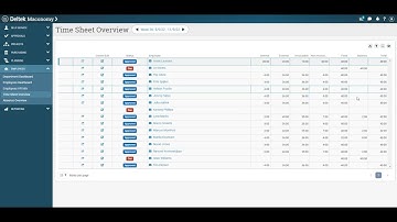 Deltek Power Launch Roles Department Manager