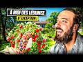 Mon premier potager 