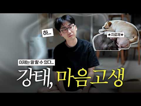 지난해 고소·고발 이후, 강태의 현재｜“포캣멍센터는 왜 구조를 안 나가나요?” thumbnail