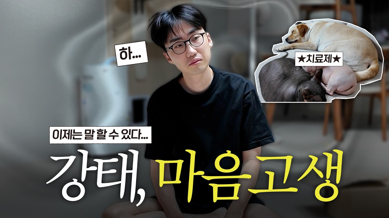지난해 고소·고발 이후, 강태의 현재｜“포캣멍센터는 왜 구조를 안 나가나요?”