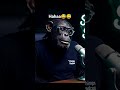 exclusive interview with warthog a.k.a. kasongo😅😅. #forfun