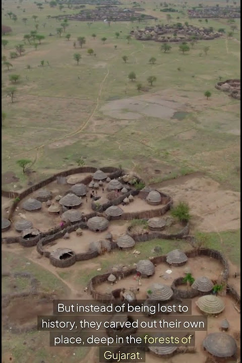 Echoes of Africa in Gujarat The Timeless Story of Jambur's Siddis #history