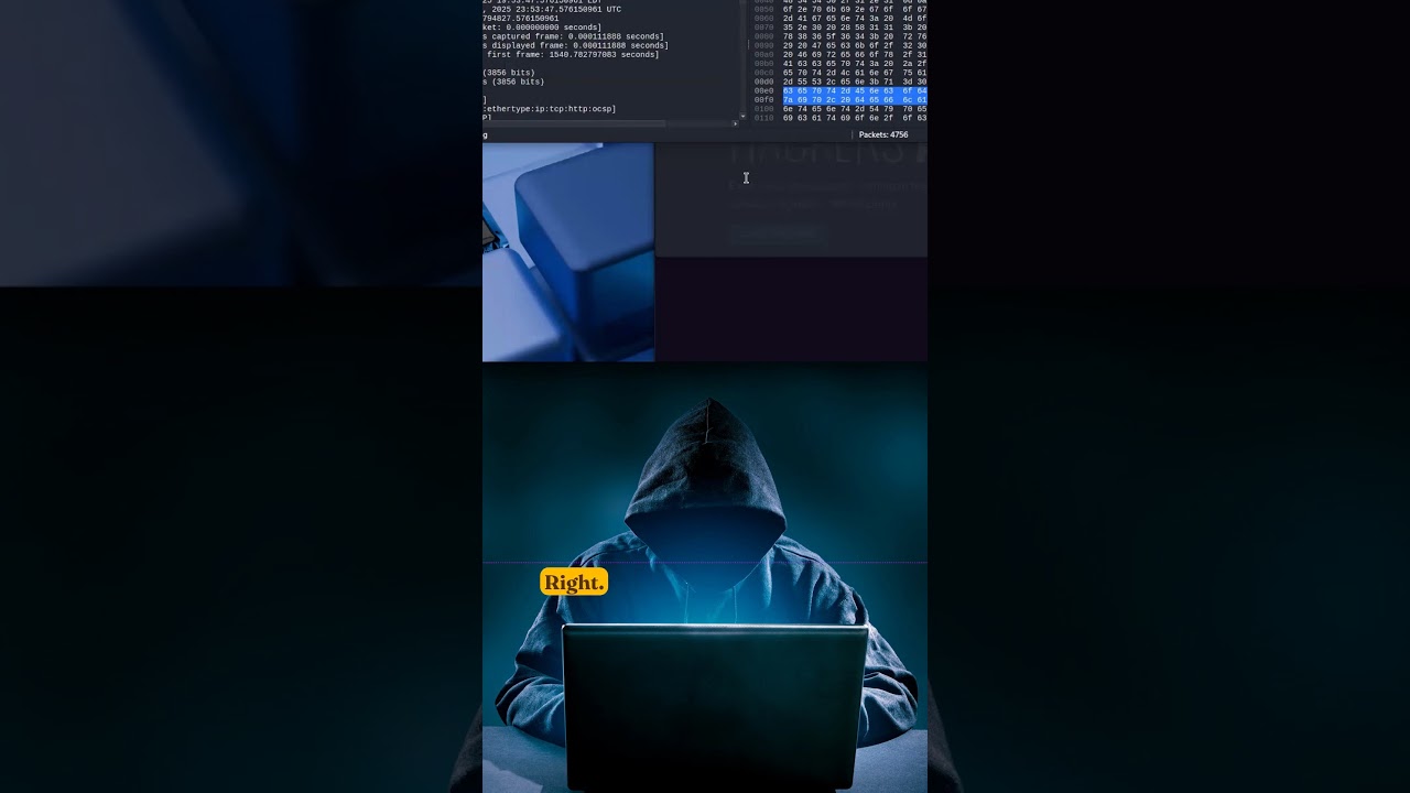 How to Catch DDoS Attacks Fast and Easy!