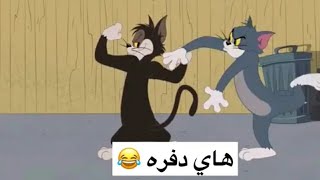 تحشيش توم وجيري | شعيط ومعيط منو الأقوى ؟ منو ياخد الحلوة 😂😂 | افلام كارتون باللهجة العراقية