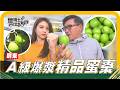 🔎《姆士尋寶去》拳頭大的A級精品「蜜棗」一口咬下大爆汁！清脆香甜的驚人口感，吃到停不下來！不只蜜棗超吸睛，連「杭菊」也能變身創意料理，做成香氣迷人的菊花玉子燒，顛覆你對菊花的想像！