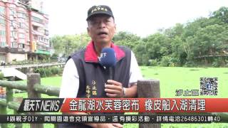 10500921觀天下新聞HD03 汐止區金龍湖水芙蓉密布 橡皮船入湖清理