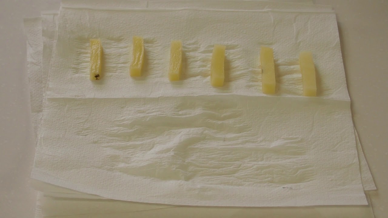 Potato Osmosis