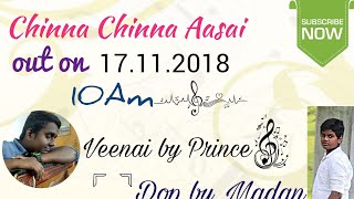 Chinna Chinna Aasai Veena & Flute