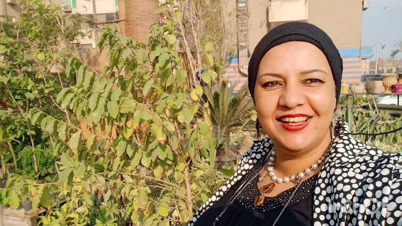 جولة فى مشتل اروع واندر نباتات الزينة والفواكه الاسيوية فى قلب القاهرة