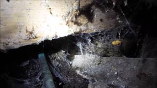 Leaking drainage within the sub-floor of a house in York.