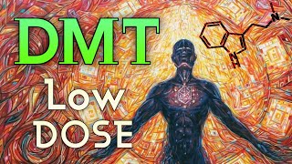 Full Low Dose DMT | Experience Update