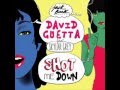 David Guetta Ft  Skylar Grey - She Shot Me Down (Extended Mix) (2014)