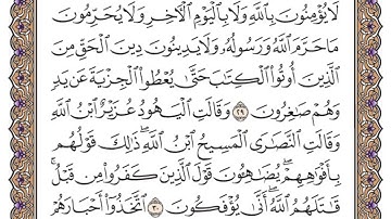 سورة التوبة الصفحة 191 من القران للشيخ ياسر الدوسري