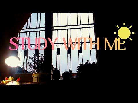 Study with me | Thức giấc lúc 5:00am.