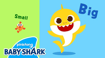 Small and Big - Learn Opposites! | Baby Shark Word Song | Vocabulary for Kids | Baby Shark Official