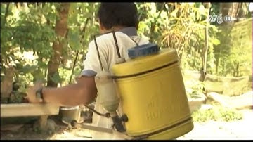 VTC14_Thuốc trừ sâu làm từ tỏi ớt