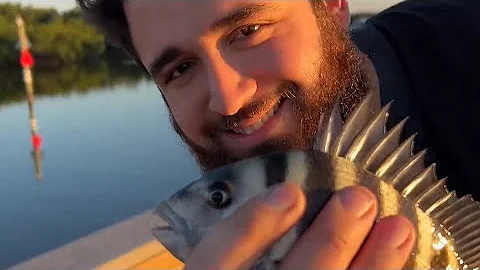 Nonstop sheepshead bite was great 