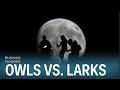 Night Owls vs Morning Larks