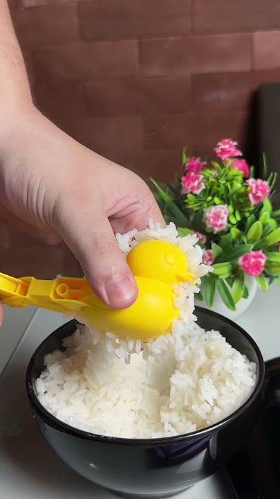 DUCK RICE