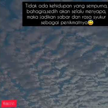 Story wa ya syaikhona