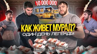 Как живёт Мурад? Хайп, Деньги, Бои и Кино. Сколько заработал?