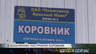 В Бошняково построили коровник