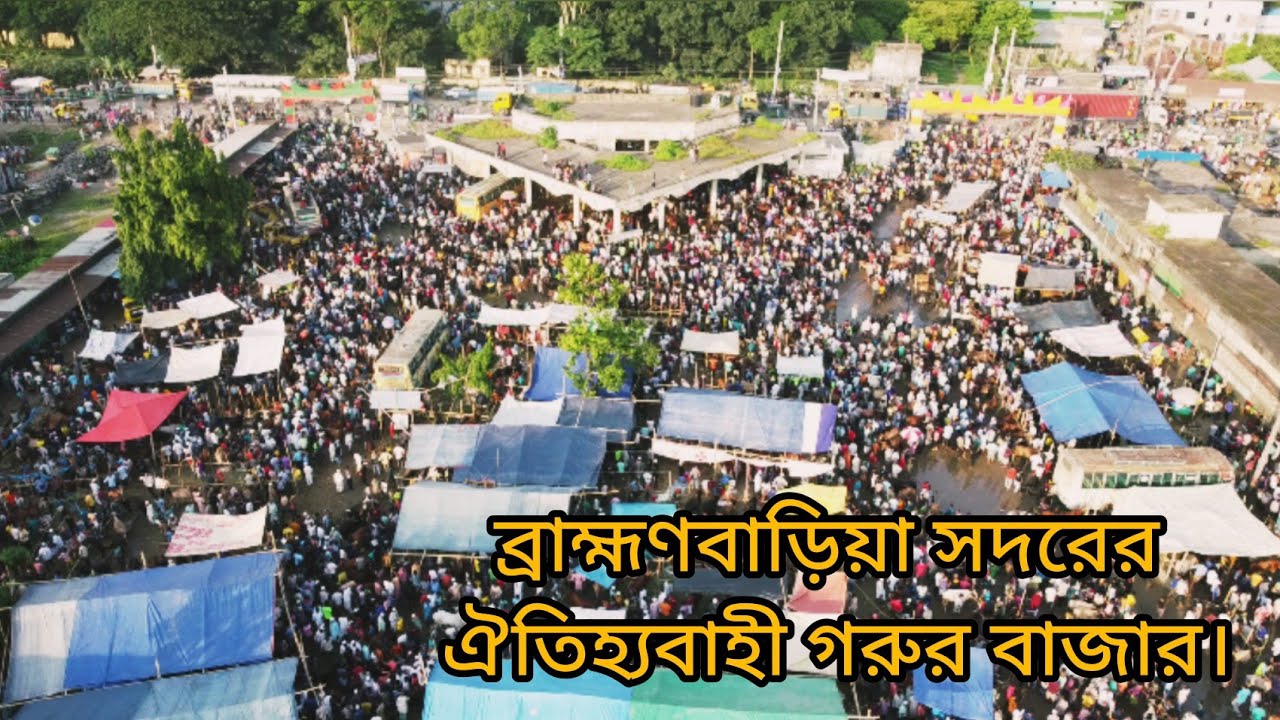 ব্রাহ্মণবাড়িয়া সদরের ঐতিহ্যবাহী গরুর বাজার। Brahmanbaria| Ismail Hasan| Vlog No-26•