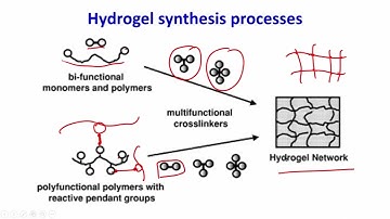 Hydrogels - II #swayamprabha #CH17SP