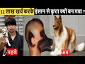 11 लाख खर्च करके इंसान से कुत्ता क्यों बन गया ?  Amazing Facts In Hindi \RTS EP 176