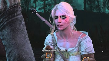 The Witcher 3 Wild Hunt Walkthrough Gameplay Part 10 - Ciri Story: King of the Wolves (PS4 Xbox One)