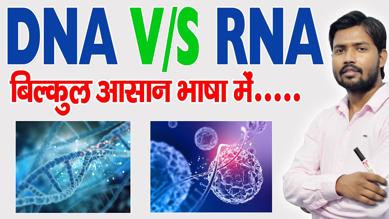 DNA और RNA में अंतर Differences Between DNA and RNA Khan GS