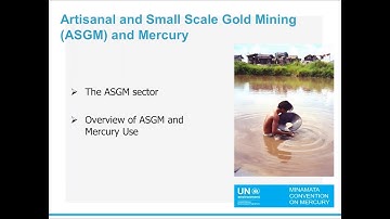 Pollution Info Session: Artisanal and small-scale gold mining and the Minamata Convention on Mercury
