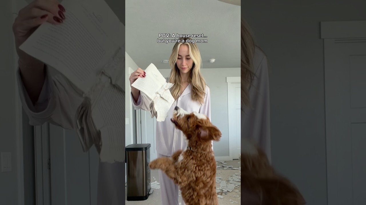 Daisy decided to pick up reading #dogs #puppy