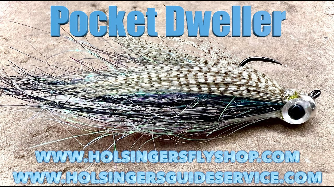 Pocket Dweller, Holsinger's Fly Shop, Episode 596 - YouTube
