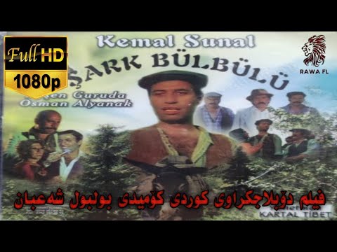 فیلم دۆبلاجکراوی کوردی کۆمیدی بولبول شەعبان Film Doblaj Kurdi Bulbul Sha3ban