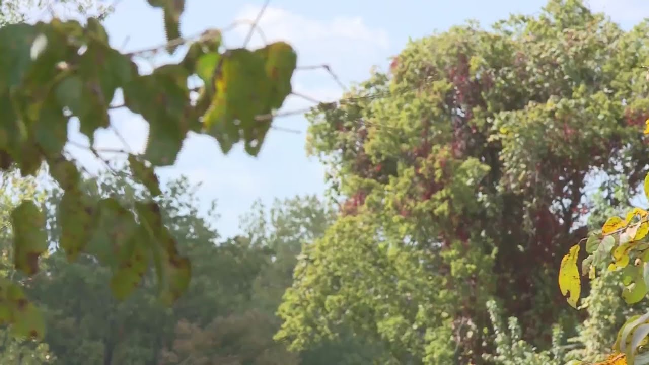 6 Missouri drives during fall to experience bright autumn colors